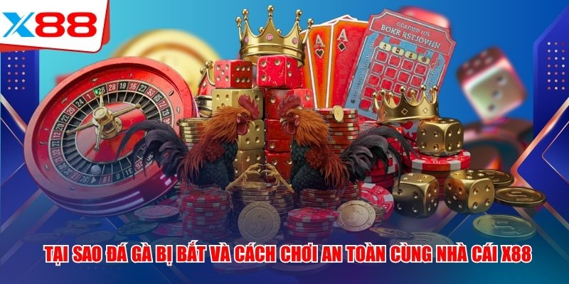Tại Sao Đá Gà X88 Bị Bắt Và Cách Chơi An Toàn Cho Kê Thủ