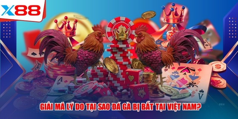 Giải mã lý do tại sao đá gà x88 bị bắt tại Việt Nam?
